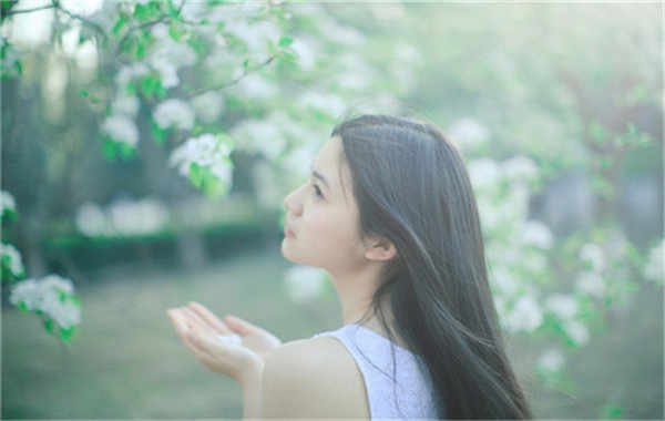 云梦验血查男女几周可以验(验血查男女结果图)